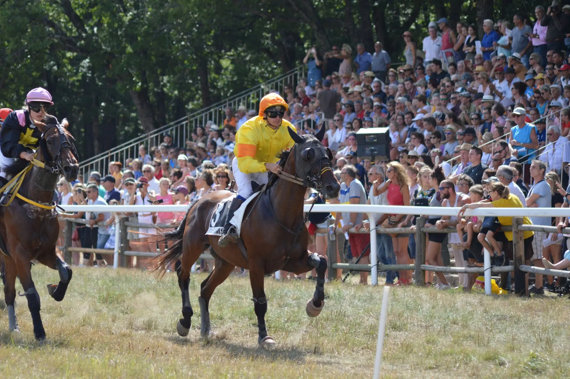 Público acompanhando uma corrida de cavalos à beira da pista