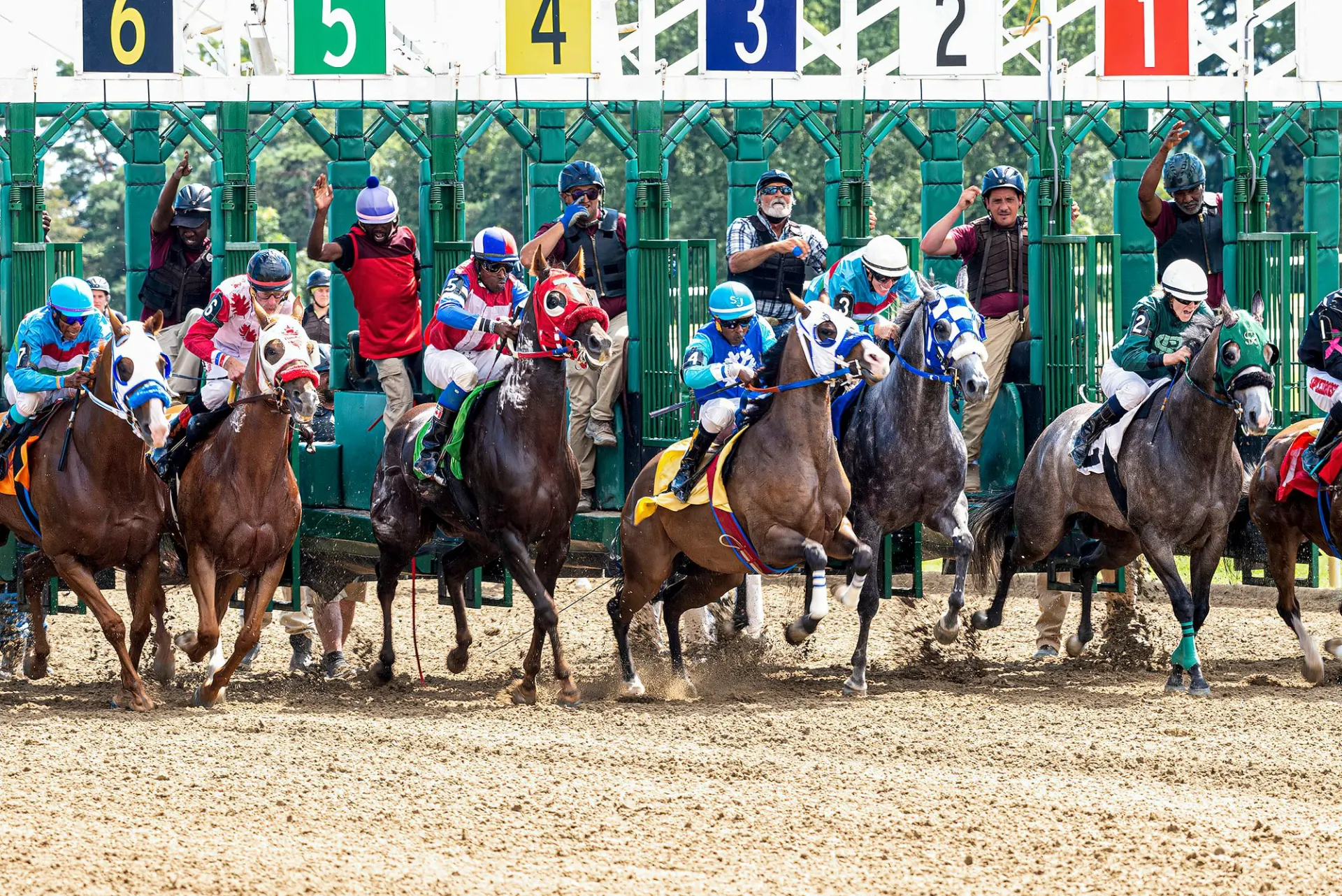 Cavalos saindo do partidor em uma corrida de velocidade