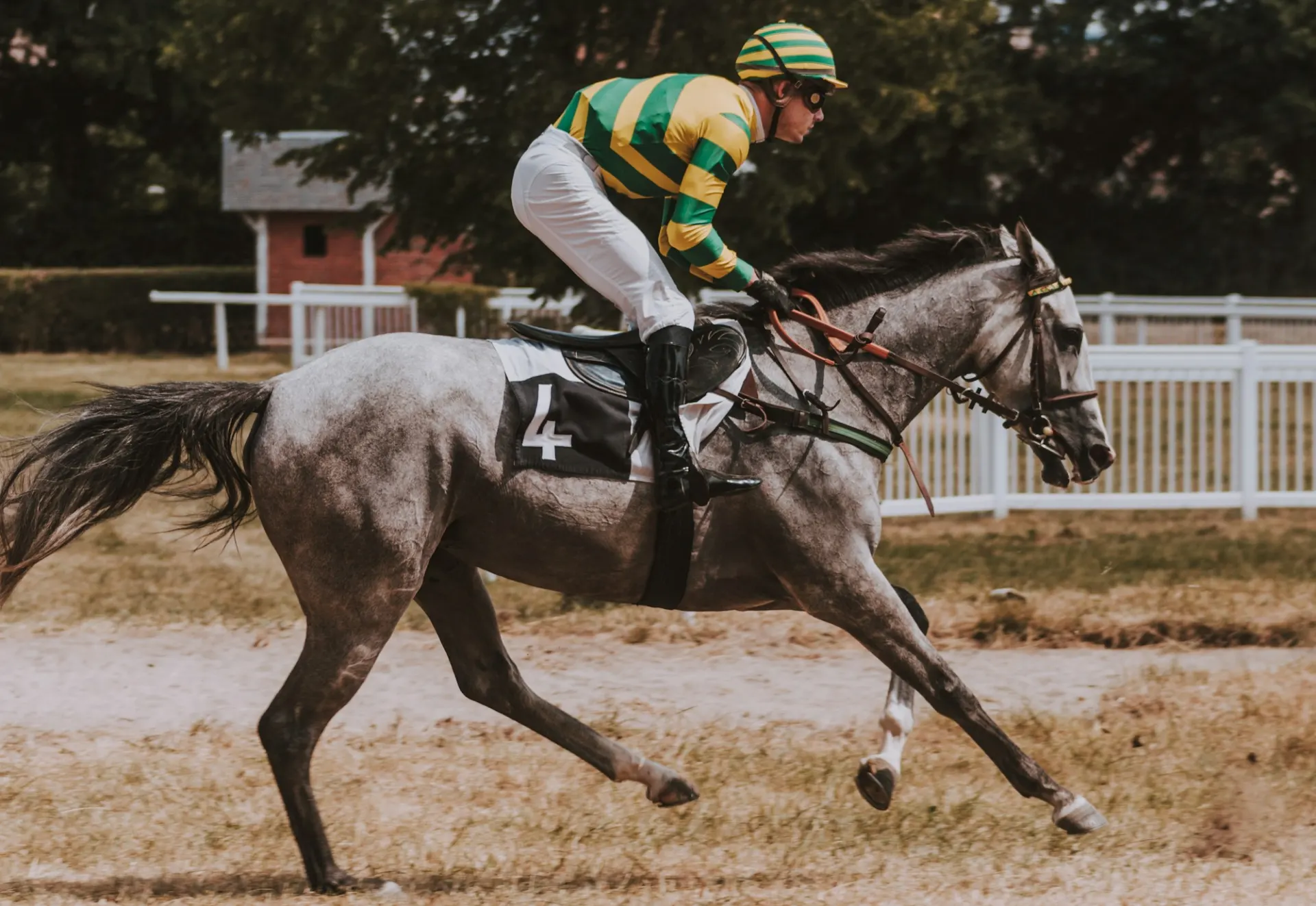 Jóquei montando cavalo tordilho em alta velocidade